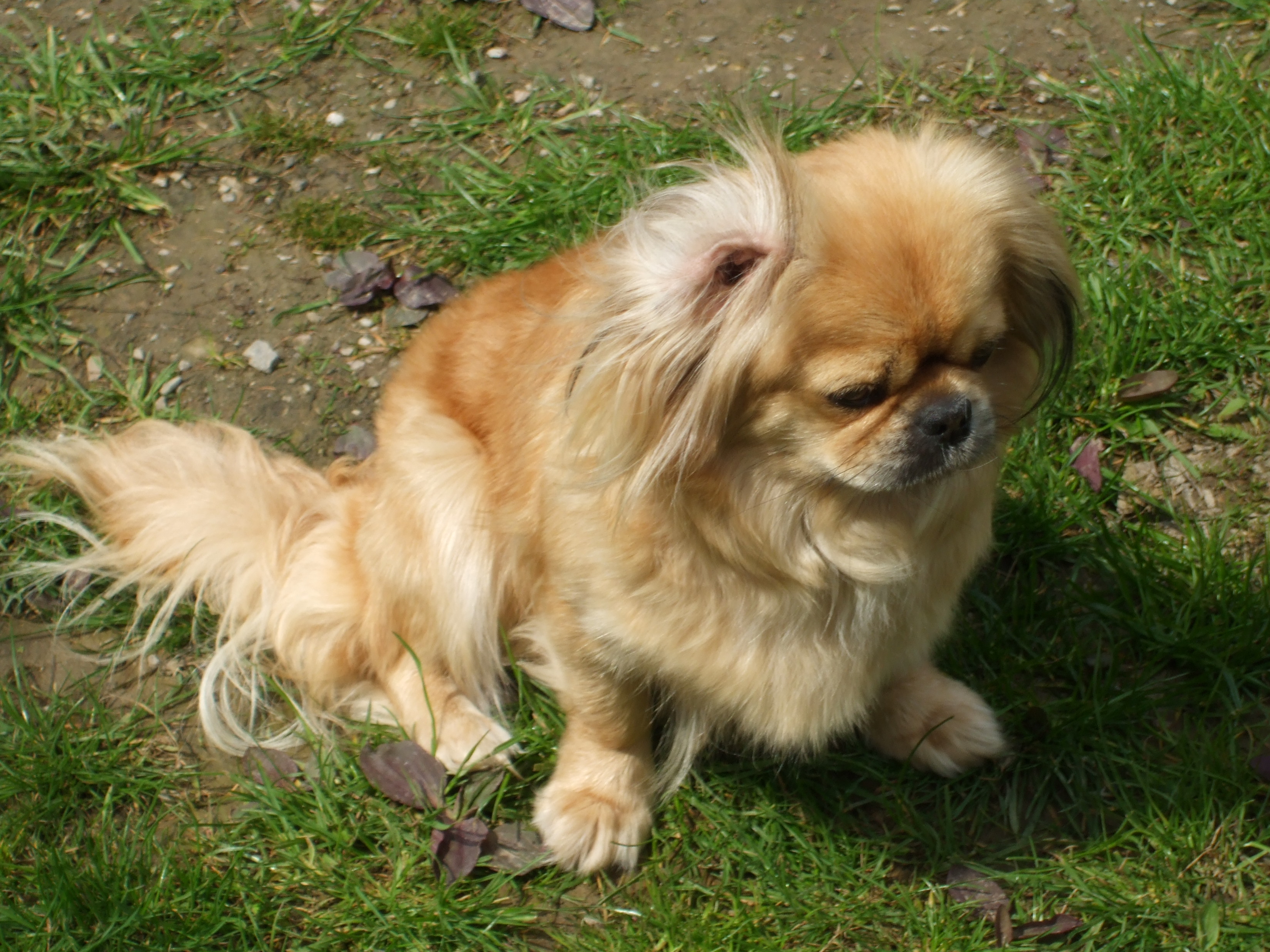 DSCF0233.JPG