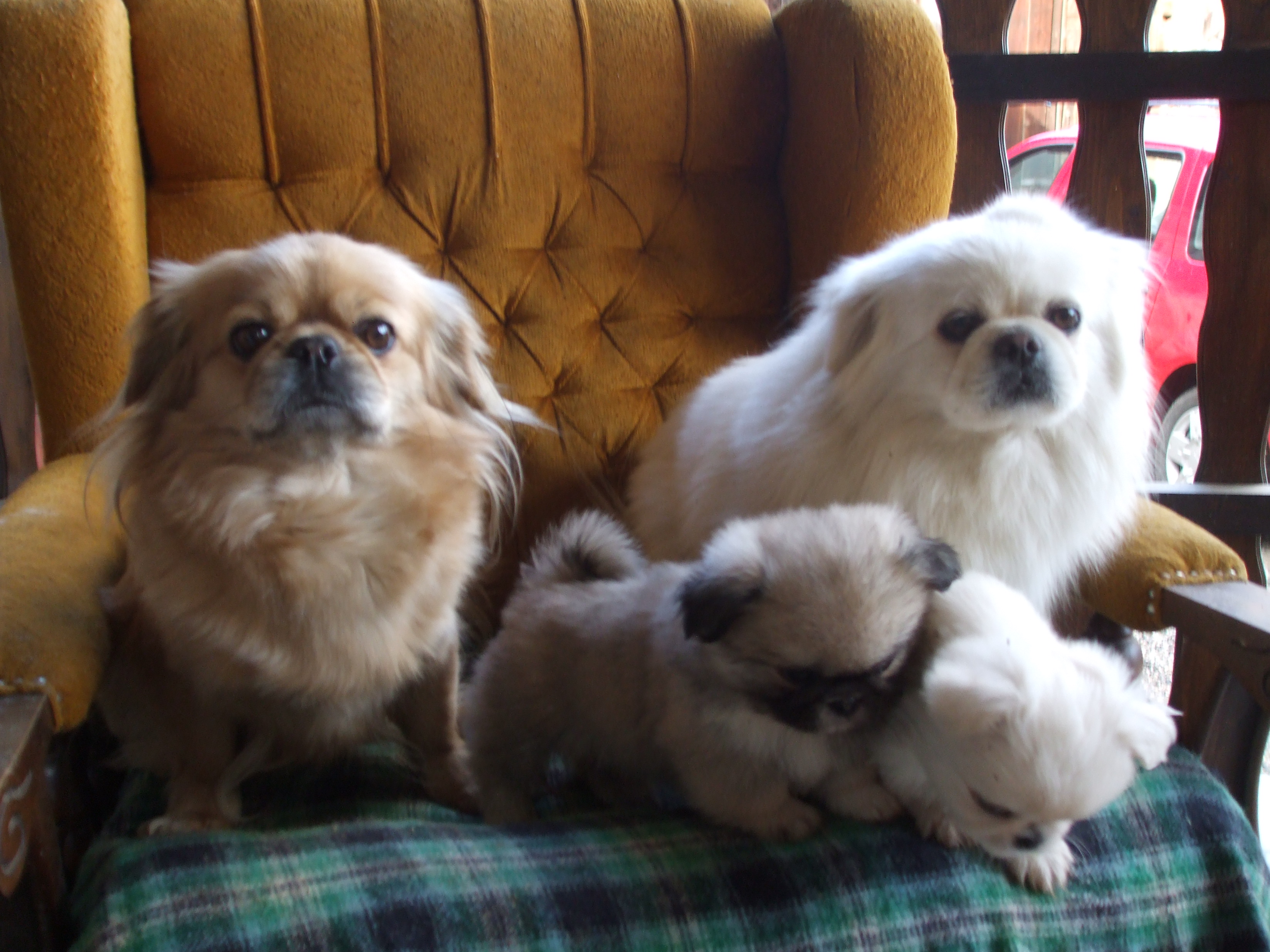 DSCF0540.JPG