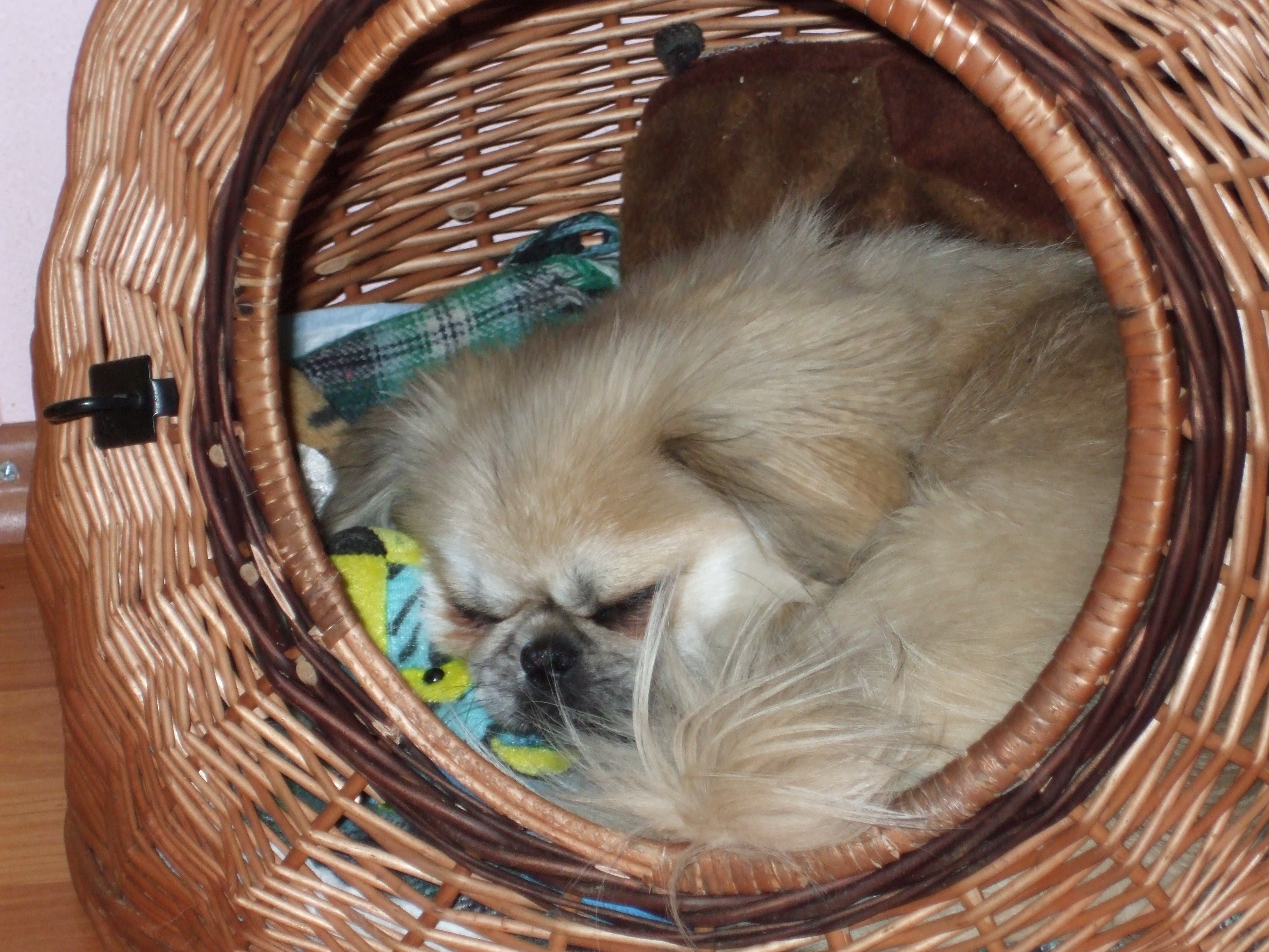 DSCF0221.JPG