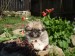 DSCF0550.JPG