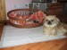 DSCF0449.JPG